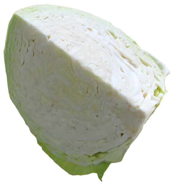 This png image - Cabbage PNG Picture, is available for free download