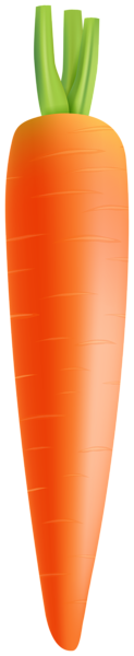 This png image - Carrot Clip Art Image, is available for free download
