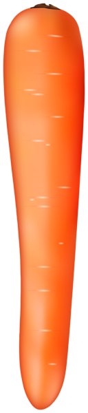 This png image - Carrot PNG Clipart, is available for free download
