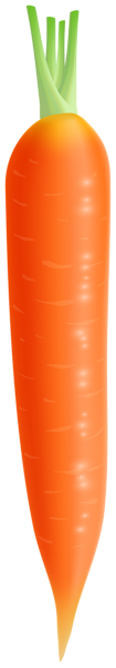 This png image - Carrot PNG Clipart Image, is available for free download