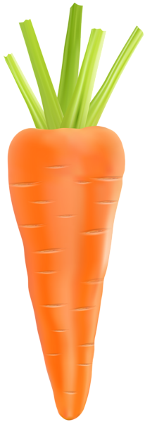 This png image - Carrot Transparent PNG Clip Art Image, is available for free download