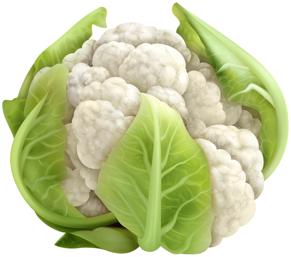 This png image - Cauliflower PNG Clip Art Image, is available for free download