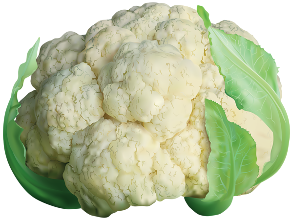 This png image - Cauliflower Transparent PNG Clip Art Image, is available for free download