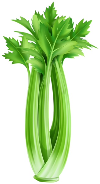 This png image - Celery PNG Clipart, is available for free download