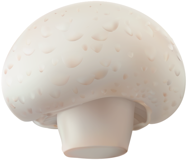 This png image - Champignon Mushroom Transparent Clip Art Image, is available for free download