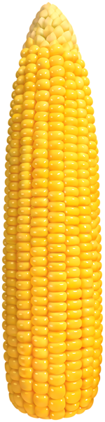 This png image - Corn PNG Clip Art, is available for free download