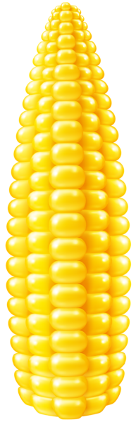 This png image - Corn PNG Clip Art Image, is available for free download