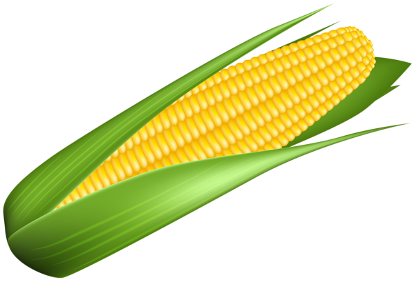 This png image - Corn Transparent Image, is available for free download