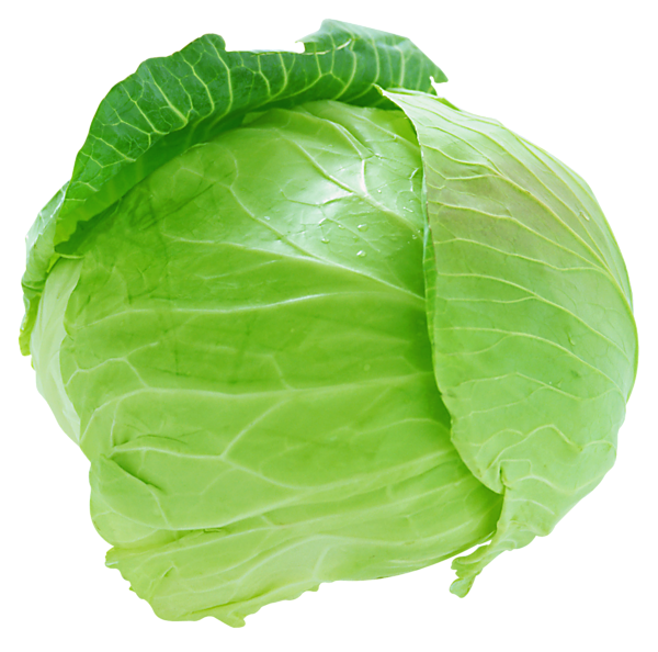 This png image - Fresh Cabbage PNG Picture, is available for free download