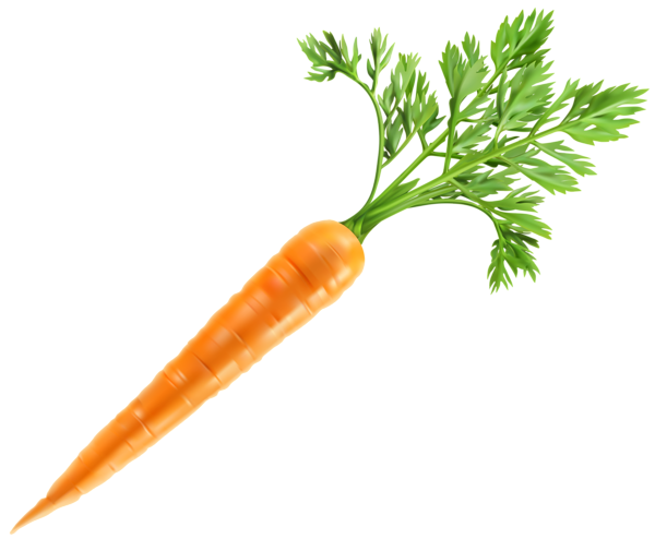 This png image - Fresh Carrot PNG Clip Art Image, is available for free download