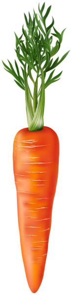 This png image - Fresh Carrot PNG Clipart, is available for free download