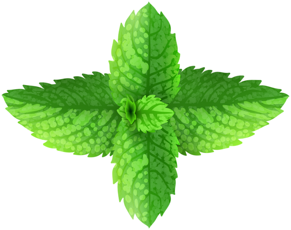 This png image - Fresh Mint leaves PNG Clipart, is available for free download