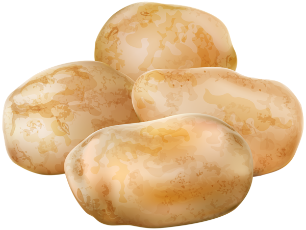 This png image - Fresh Potatoes Transparent PNG Clip Art Image, is available for free download