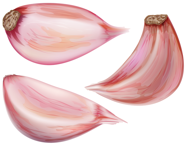 This png image - Garlic Cloves PNG Clip Art Image, is available for free download