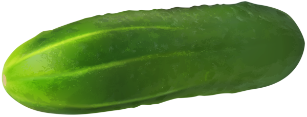 This png image - Gherkin Cucumber Transparent PNG Clip Art Image, is available for free download