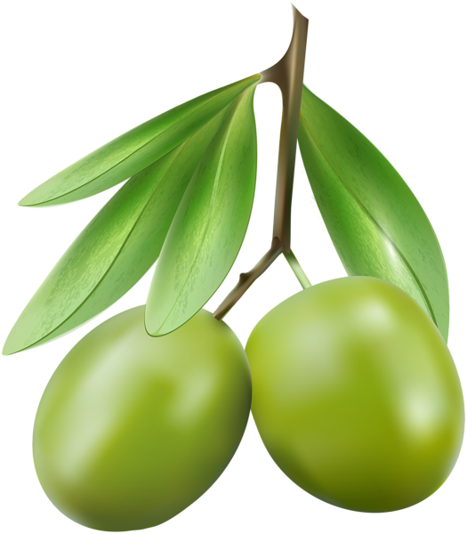 This png image - Green Olives PNG Clip Art Image, is available for free download