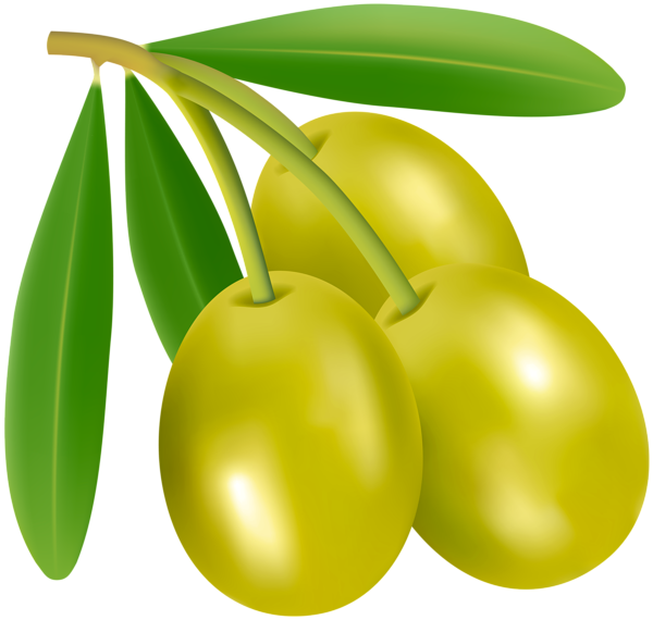 This png image - Green Olives PNG Clipart, is available for free download