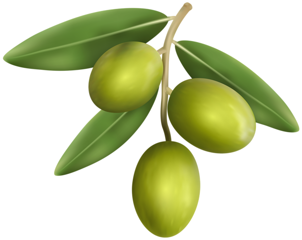 This png image - Green Olives PNG Transparent Clipart, is available for free download