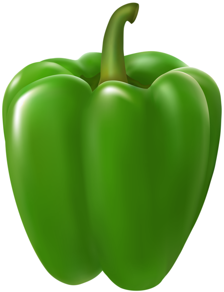 Green Pepper PNG Transparent Clipart | Gallery Yopriceville - High ...