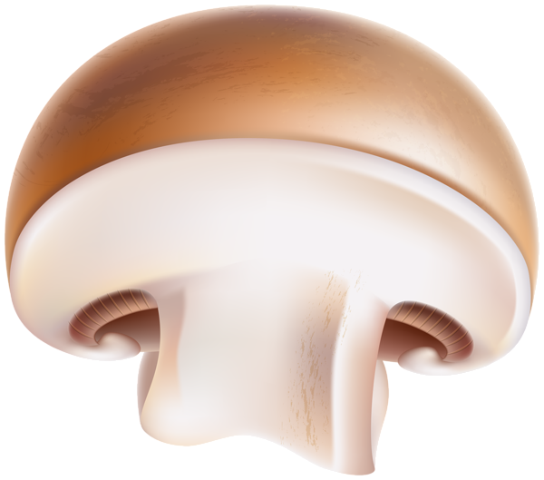 This png image - Half Mushroom PNG Clipart, is available for free download