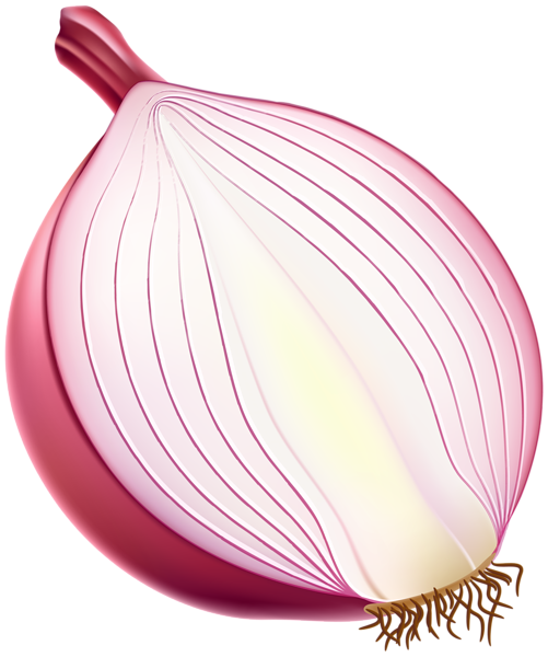 This png image - Half Red Onion PNG Clipart, is available for free download