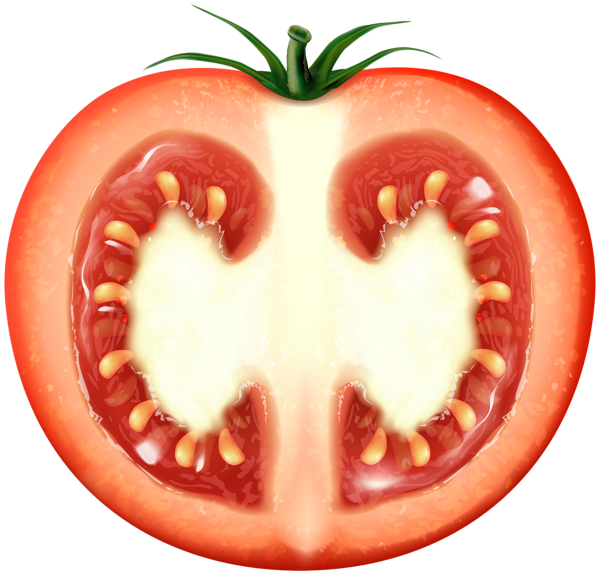 This png image - Half Tomato Transparent Clip Art Image, is available for free download