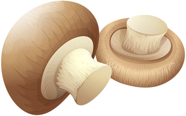 This png image - Mushrooms PNG Clip Art, is available for free download
