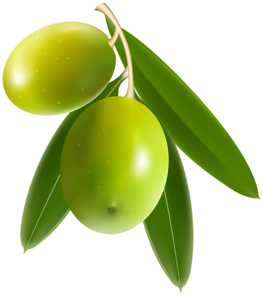 Olives PNG Clip Art Image | Gallery Yopriceville - High-Quality Free ...