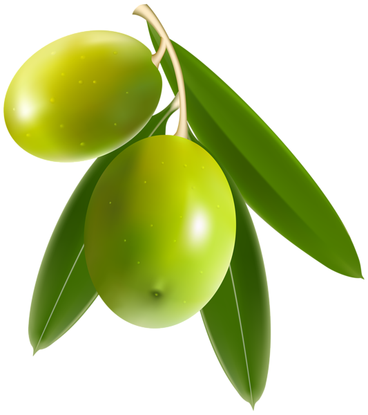 This png image - Olives PNG Clip Art Image, is available for free download