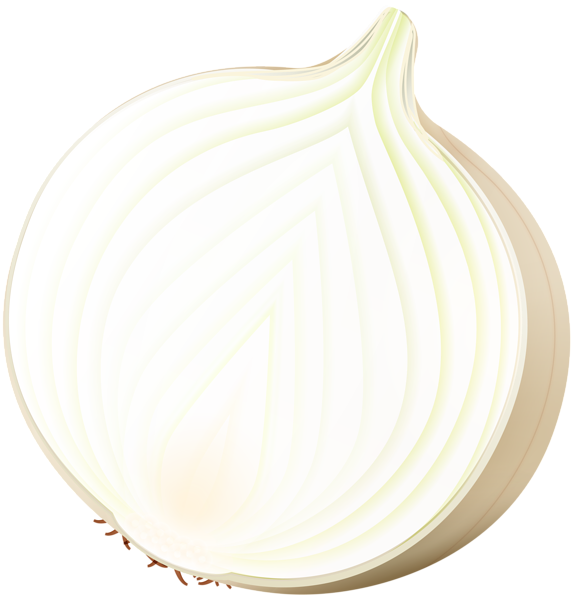 This png image - Onion PNG Clip Art Image, is available for free download