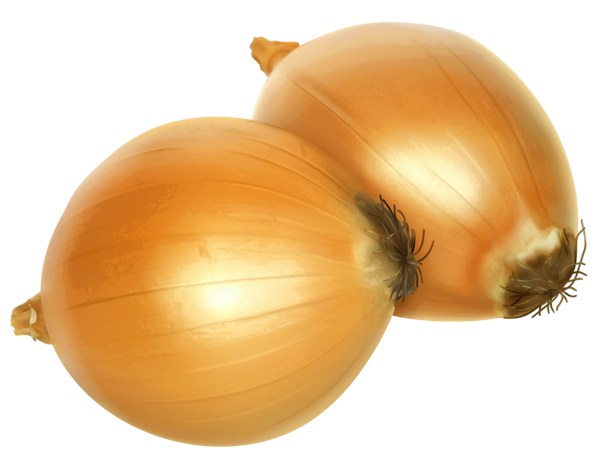 This png image - Onion PNG Clipart, is available for free download
