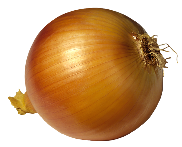 This png image - Onion PNG Picutre, is available for free download
