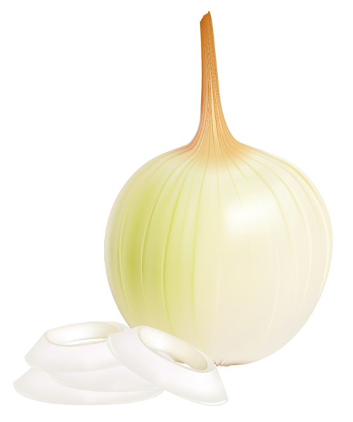 This png image - Onion PNG Picture Clipart, is available for free download