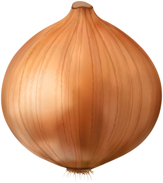 This png image - Onion Transparent Clipart, is available for free download