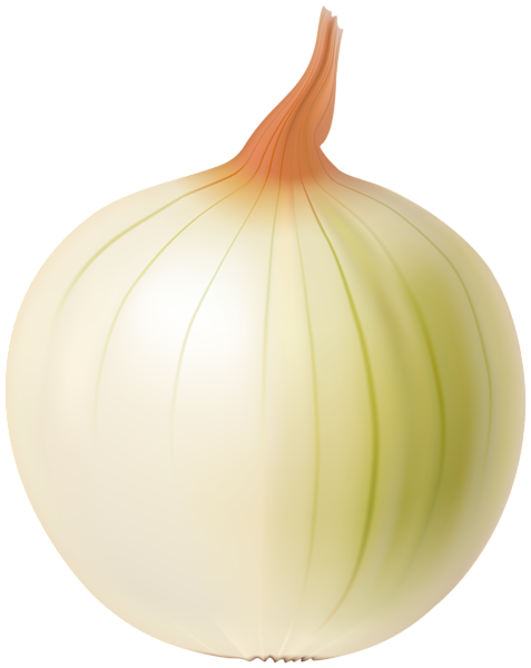 This png image - Onion Transparent Image, is available for free download