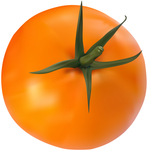 This png image - Orange Tomato Transparent Clip Art Image, is available for free download