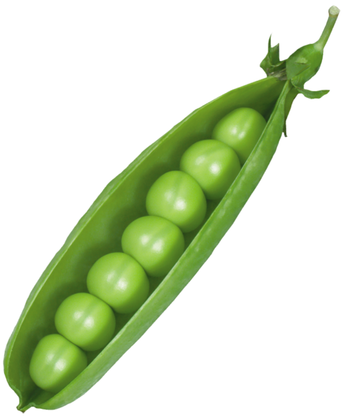 This png image - Pea Pod PNG Picture, is available for free download
