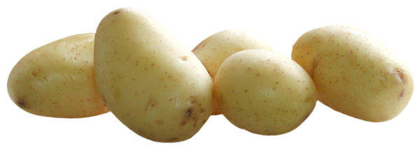 This png image - Potatoes PNG Picture, is available for free download