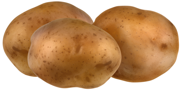 This png image - Potatoes Transparent PNG Clip Art Image, is available for free download