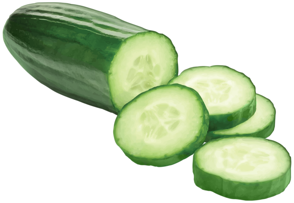 This png image - Realistic Cucumber PNG Transparent Clipart, is available for free download