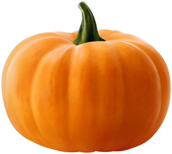 Realistic Pumpkin Clip Art Image | Gallery Yopriceville ...