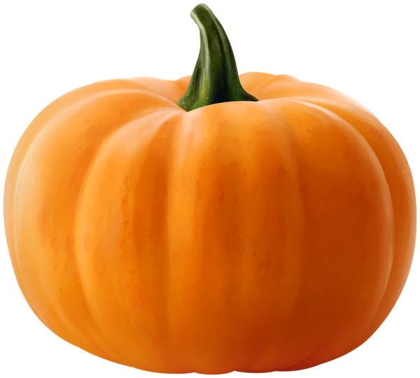 This png image - Realistic Pumpkin Clip Art Image, is available for free download