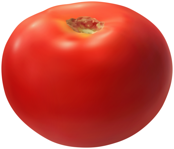 This png image - Realistic Tomato Clip Art Image, is available for free download