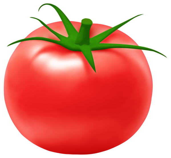 This png image - Realistic Tomato PNG Transparent Clipart, is available for free download