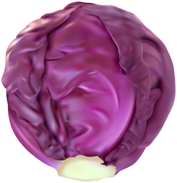 This png image - Red Cabbage PNG Clip Art Image, is available for free download