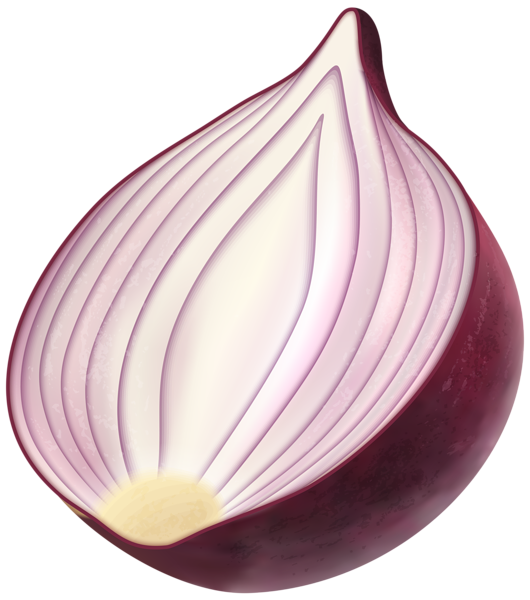 This png image - Red Onion PNG Clip Art Image, is available for free download