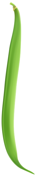This png image - String Bean PNG Clip Art Image, is available for free download