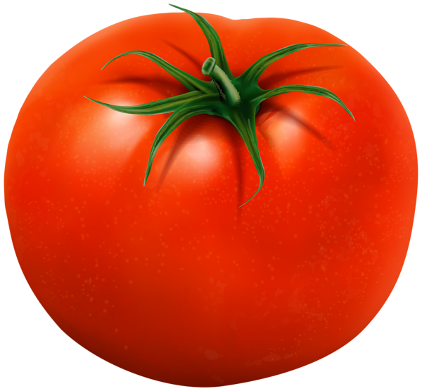 This png image - Tomato Transparent Clip Art Image, is available for free download