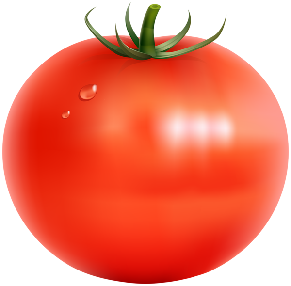 This png image - Tomato Transparent PNG Clip Art Image, is available for free download