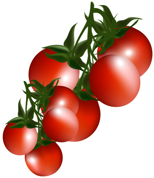 This png image - Tomatoes Branch PNG Clipart Picture, is available for free download